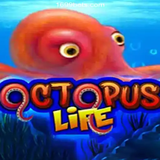 Dive into the Thrilling World of OctopusLife: Exploring the Wonders of the Deep Sea Casino